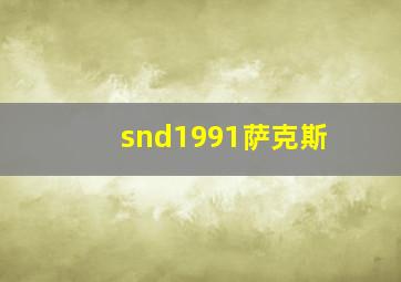 snd1991萨克斯