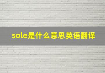 sole是什么意思英语翻译