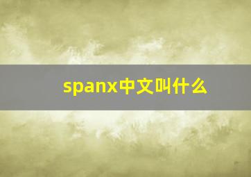 spanx中文叫什么