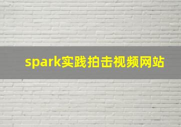 spark实践拍击视频网站