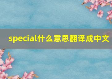 special什么意思翻译成中文