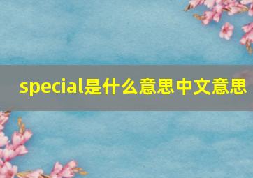 special是什么意思中文意思