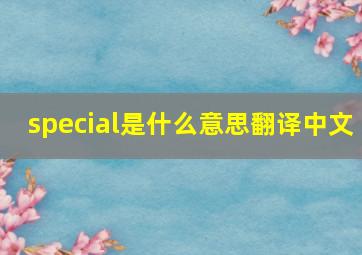 special是什么意思翻译中文