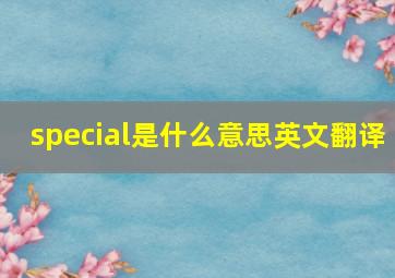 special是什么意思英文翻译