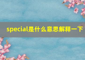 special是什么意思解释一下