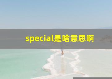 special是啥意思啊