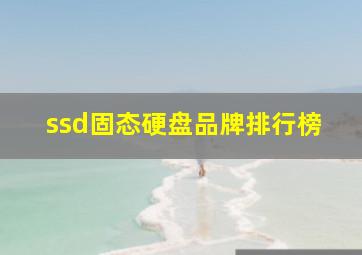 ssd固态硬盘品牌排行榜