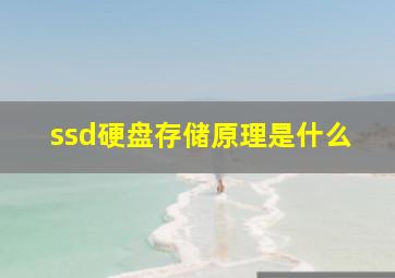 ssd硬盘存储原理是什么