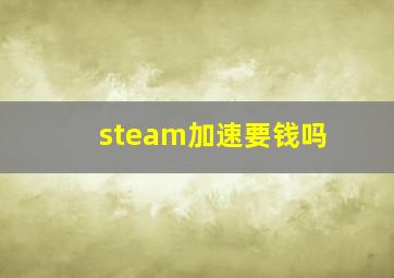 steam加速要钱吗