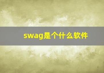 swag是个什么软件