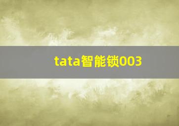 tata智能锁003