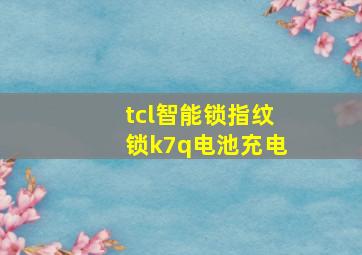 tcl智能锁指纹锁k7q电池充电