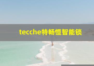 tecche特畅恒智能锁