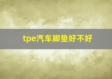 tpe汽车脚垫好不好