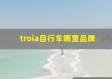 troia自行车哪里品牌