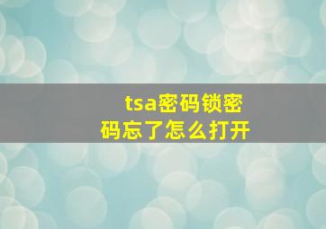 tsa密码锁密码忘了怎么打开