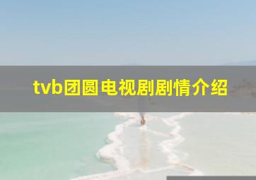 tvb团圆电视剧剧情介绍