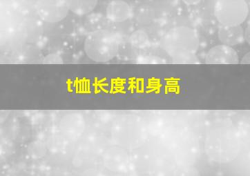 t恤长度和身高