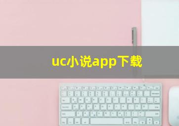 uc小说app下载