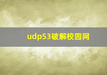 udp53破解校园网