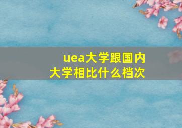 uea大学跟国内大学相比什么档次