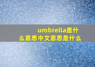 umbrella是什么意思中文意思是什么