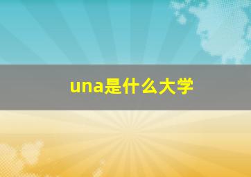 una是什么大学