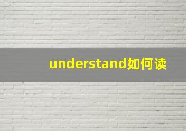 understand如何读