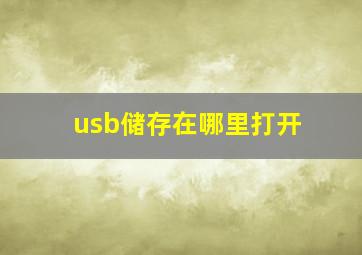 usb储存在哪里打开