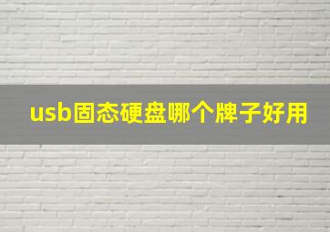 usb固态硬盘哪个牌子好用