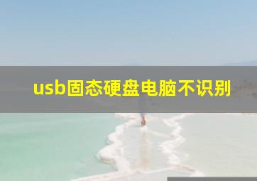 usb固态硬盘电脑不识别