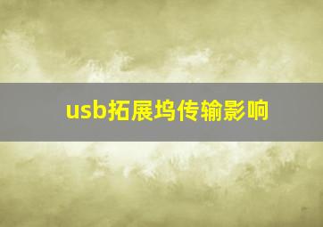 usb拓展坞传输影响