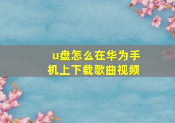 u盘怎么在华为手机上下载歌曲视频