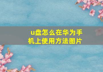 u盘怎么在华为手机上使用方法图片