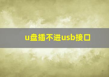 u盘插不进usb接口