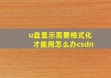 u盘显示需要格式化才能用怎么办csdn