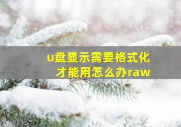 u盘显示需要格式化才能用怎么办raw