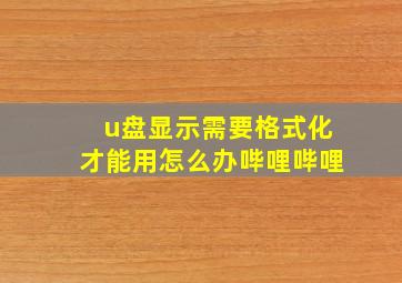 u盘显示需要格式化才能用怎么办哔哩哔哩