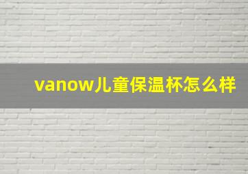 vanow儿童保温杯怎么样