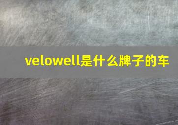 velowell是什么牌子的车