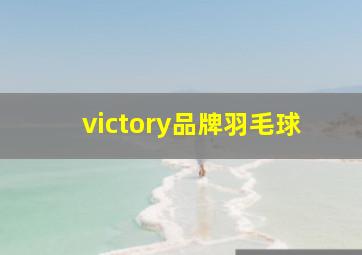 victory品牌羽毛球