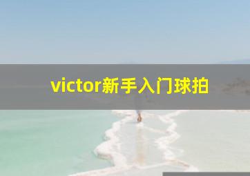 victor新手入门球拍