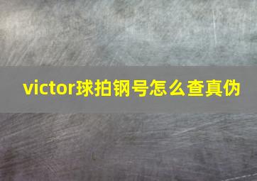 victor球拍钢号怎么查真伪