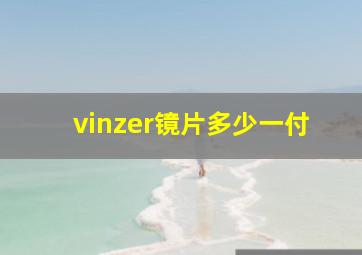 vinzer镜片多少一付