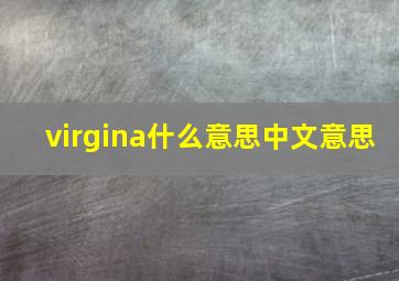 virgina什么意思中文意思