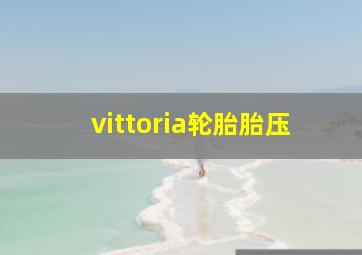 vittoria轮胎胎压