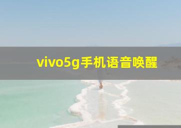 vivo5g手机语音唤醒