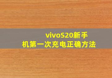 vivoS20新手机第一次充电正确方法