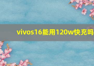 vivos16能用120w快充吗