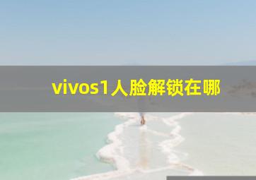 vivos1人脸解锁在哪